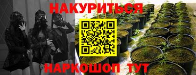 мескалин Заводоуковск