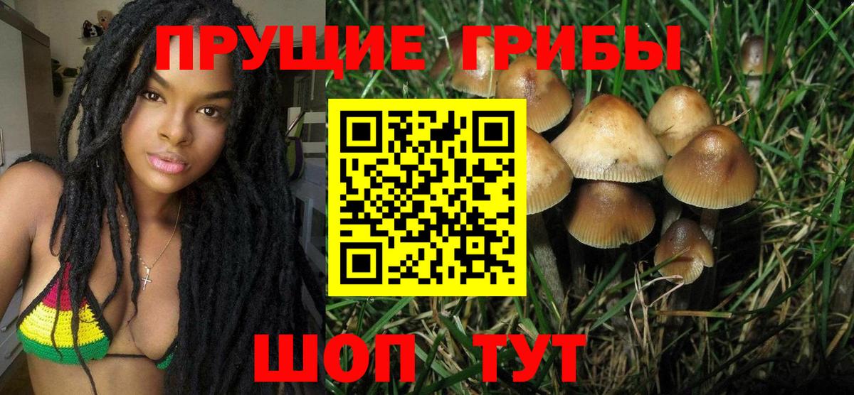 Жигулёвск  Галлюциногенные грибы мухоморы  Вход с VPN 